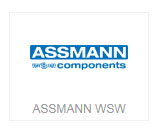 ASSMANN WSW