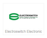 Electroswitch Electronic