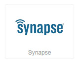 Synapse